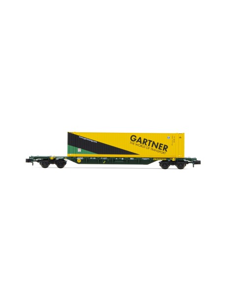 Wagon plat Sgnss FS CEMAT + container GARTNER