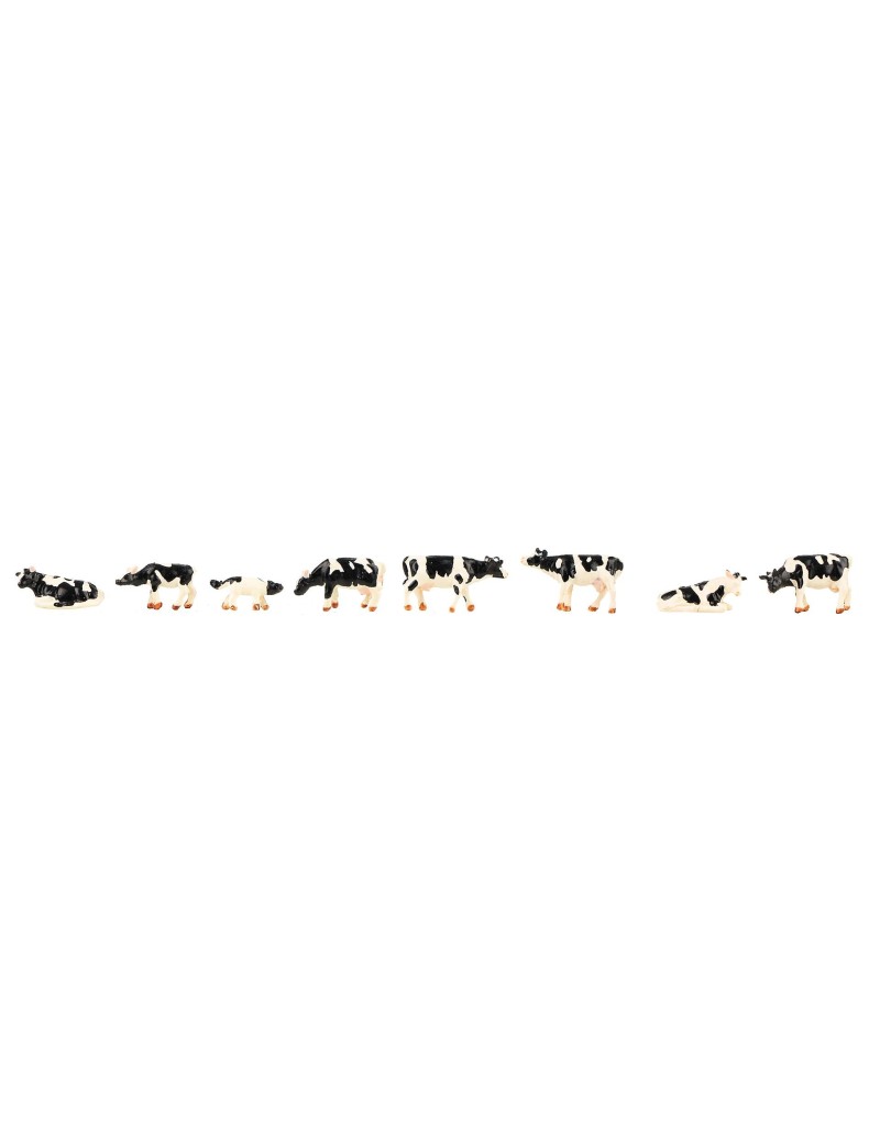 Troupeau de 8 vaches marron et blanc
