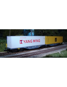 Wagon porte-containers double YANG MING et MSC