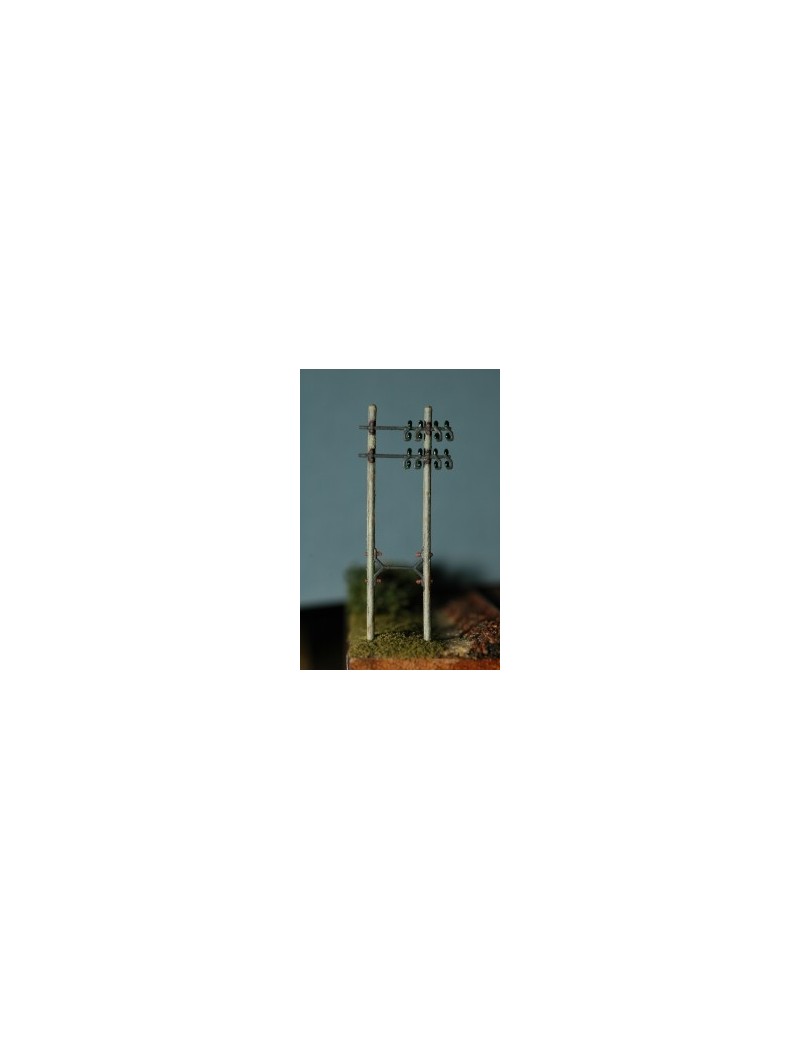 Set of 20 telegraph poles