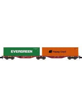 Containers twin car HAPAG-LLYOD and EVERGREEN