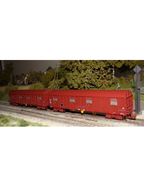 Set de 2 wagons Gahkkss 10-6 primeur