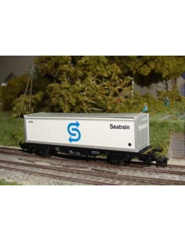 DB fat wagon with Seatrain container