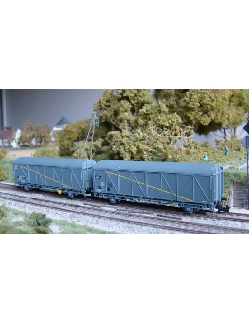 Set of 2 SNCF EVS wagons with high roof