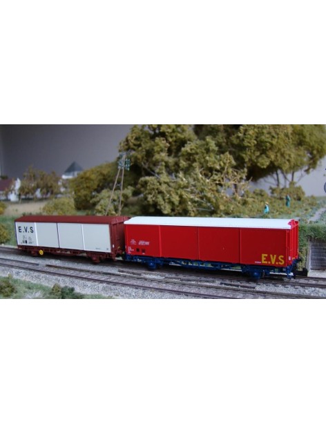 Coffret de 2 wagons EVS Hs et Hss à toit bas