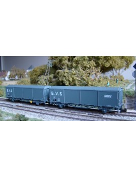 Set of 2 SNCF Hs EVS wagons with low roof