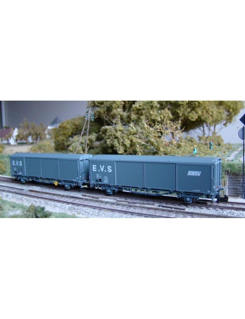 Set of 2 SNCF Hs EVS wagons with low roof
