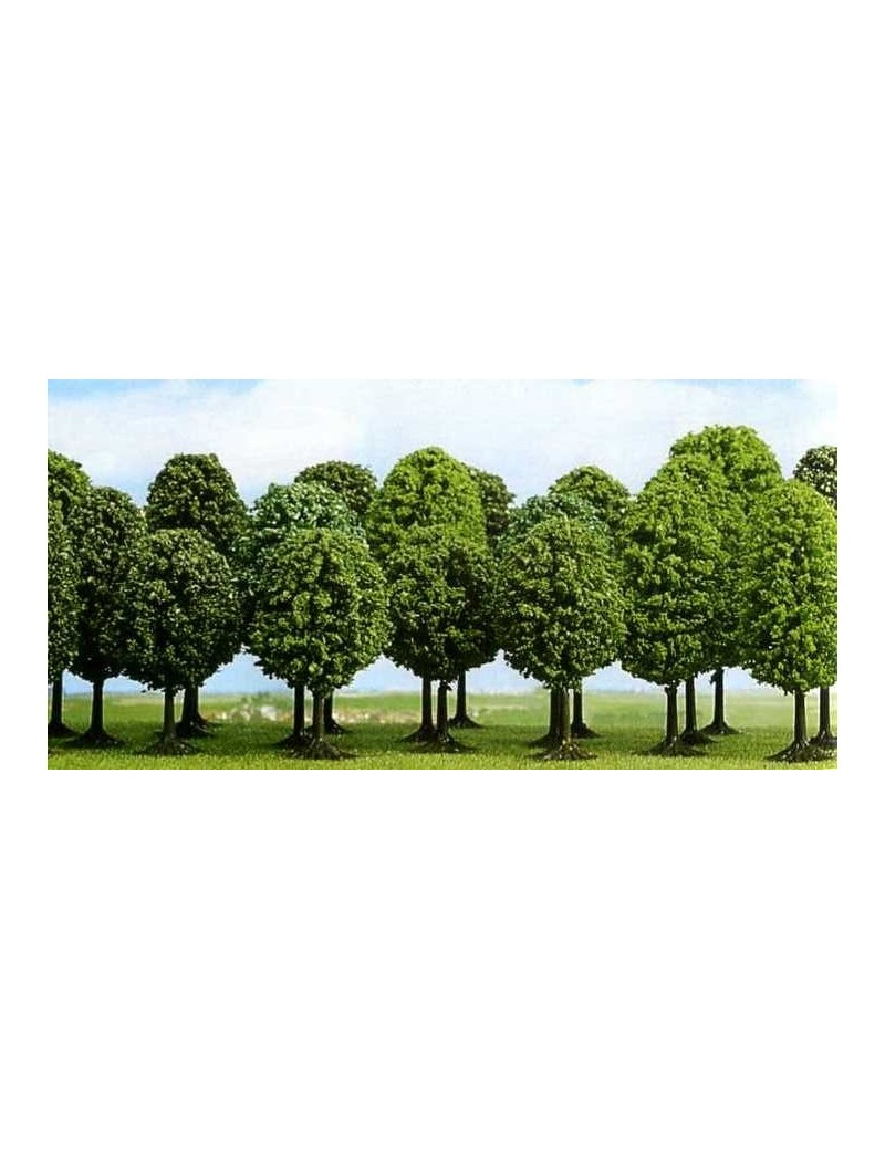 Set of 25 different leaved trees