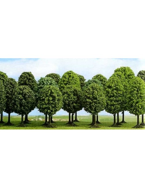 Set of 25 different leaved trees